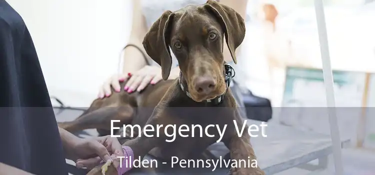 Emergency Vet Tilden - Pennsylvania