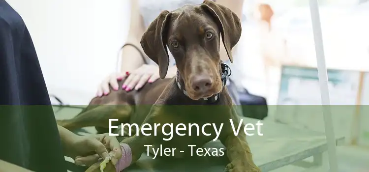 Emergency Vet Tyler - Texas
