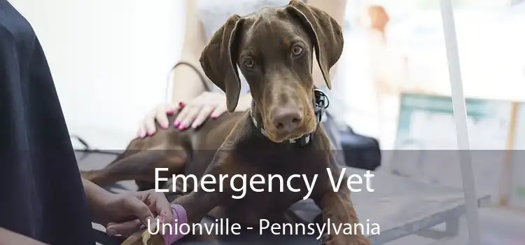 Emergency Vet Unionville - Pennsylvania