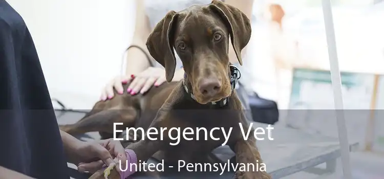 Emergency Vet United - Pennsylvania