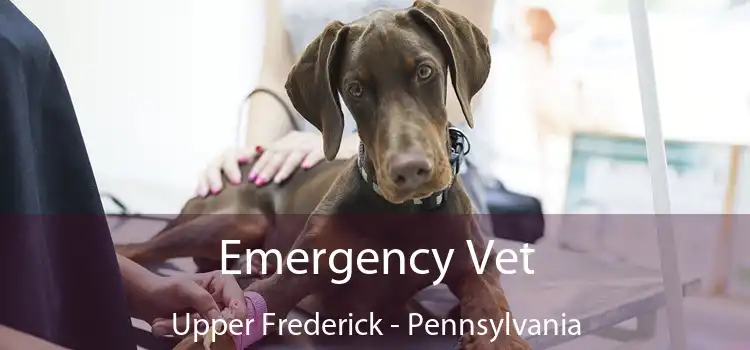 Emergency Vet Upper Frederick - Pennsylvania