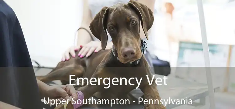 Emergency Vet Upper Southampton - Pennsylvania