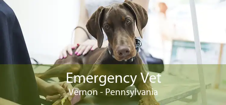 Emergency Vet Vernon - Pennsylvania
