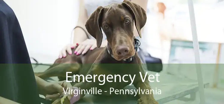 Emergency Vet Virginville - Pennsylvania