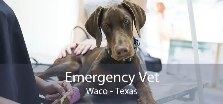 Emergency Vet Waco - Texas