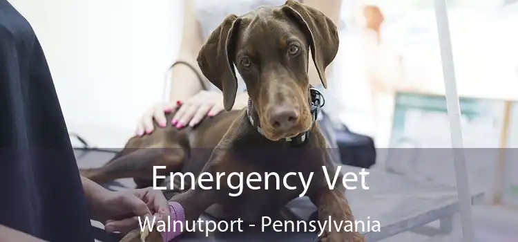 Emergency Vet Walnutport - Pennsylvania
