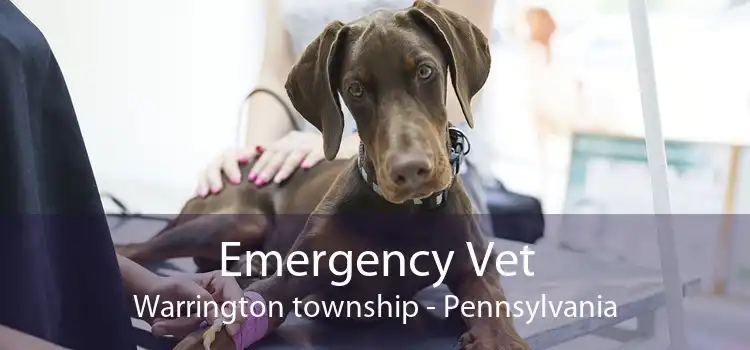 Emergency Vet Warrington township - Pennsylvania