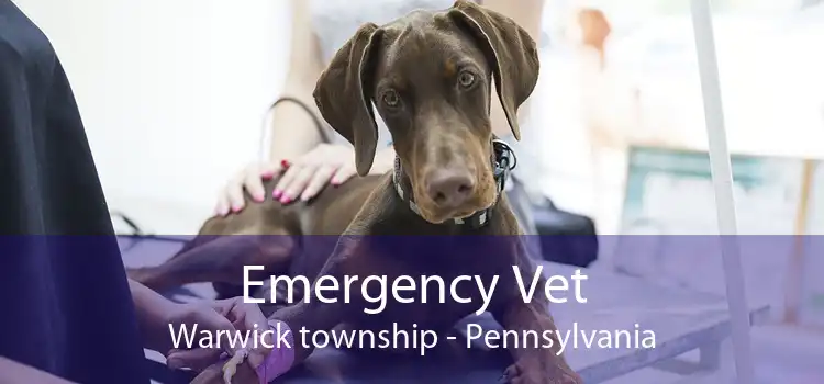 Emergency Vet Warwick township - Pennsylvania