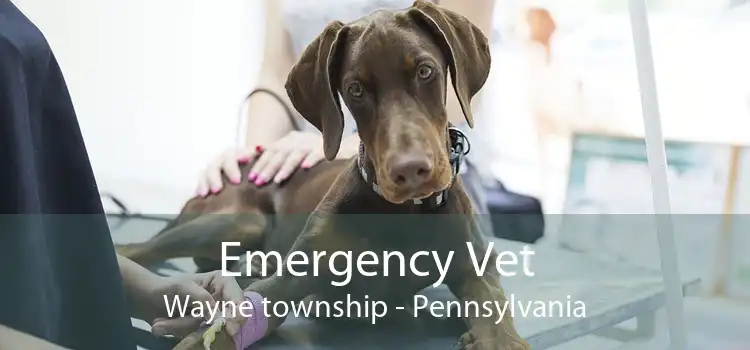 Emergency Vet Wayne township - Pennsylvania