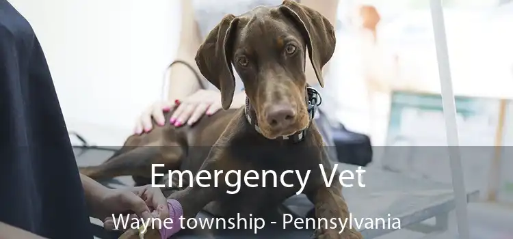 Emergency Vet Wayne township - Pennsylvania