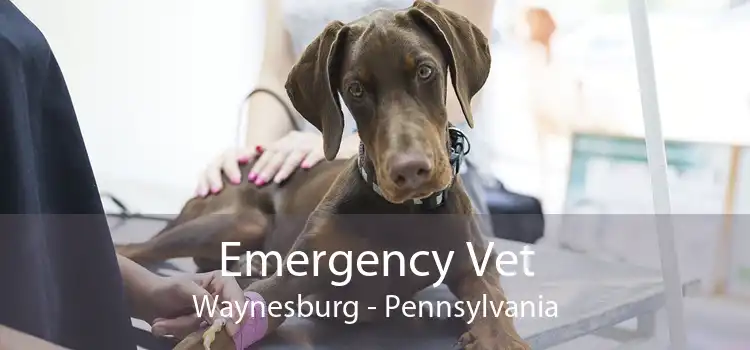 Emergency Vet Waynesburg - Pennsylvania