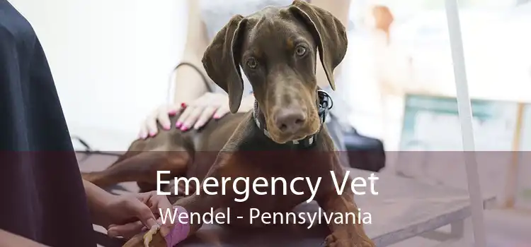 Emergency Vet Wendel - Pennsylvania