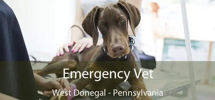 Emergency Vet West Donegal - Pennsylvania