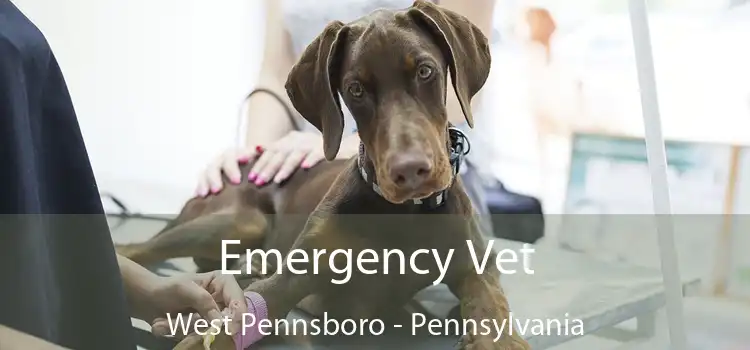 Emergency Vet West Pennsboro - Pennsylvania