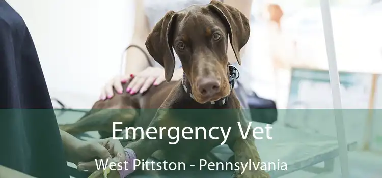 Emergency Vet West Pittston - Pennsylvania