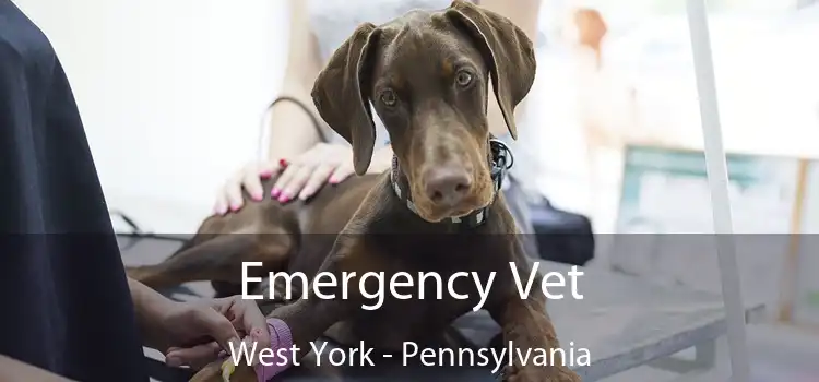 Emergency Vet West York - Pennsylvania