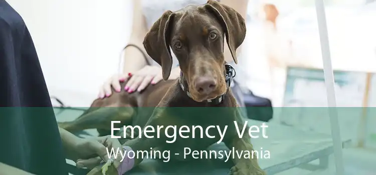 Emergency Vet Wyoming - Pennsylvania
