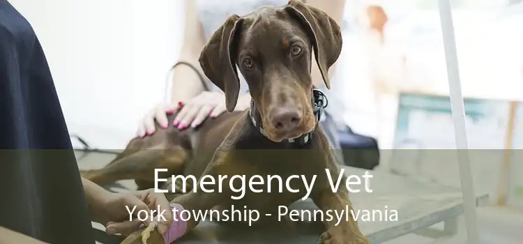 Emergency Vet York township - Pennsylvania