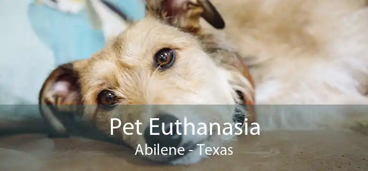 Pet Euthanasia Abilene - Texas