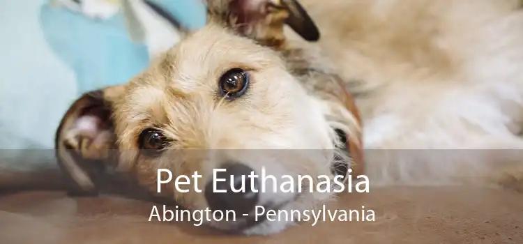 Pet Euthanasia Abington - Pennsylvania