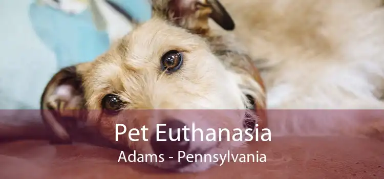 Pet Euthanasia Adams - Pennsylvania