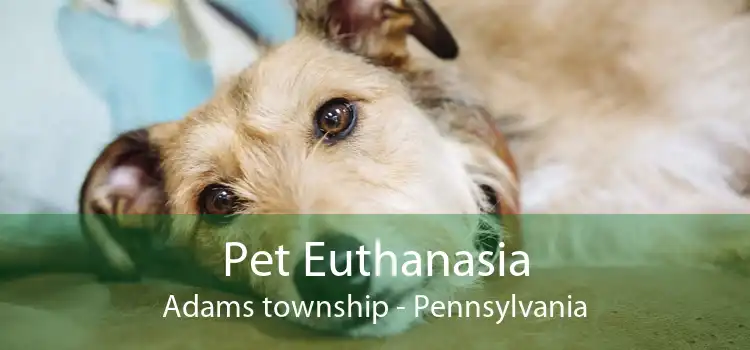 Pet Euthanasia Adams township - Pennsylvania
