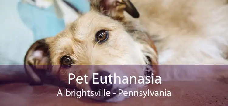 Pet Euthanasia Albrightsville - Pennsylvania