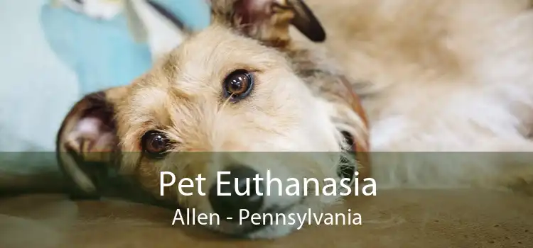 Pet Euthanasia Allen - Pennsylvania
