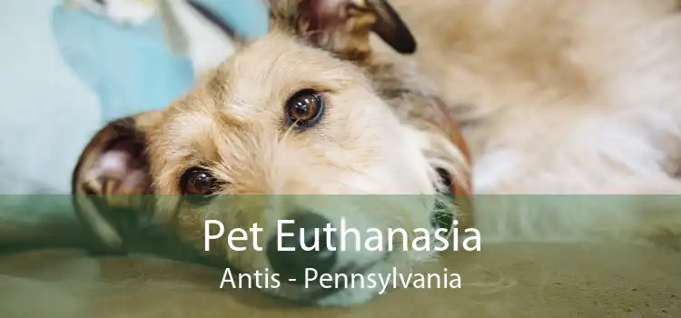 Pet Euthanasia Antis - Pennsylvania