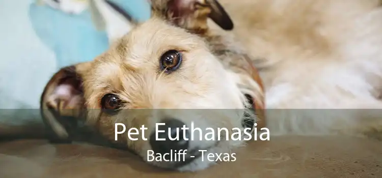 Pet Euthanasia Bacliff - Texas