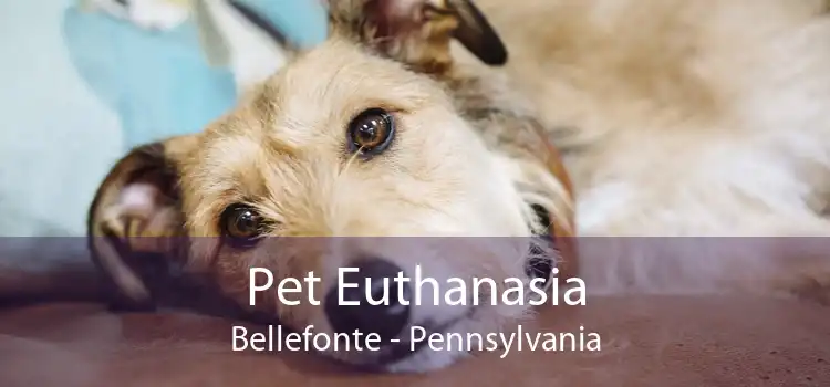 Pet Euthanasia Bellefonte - Pennsylvania
