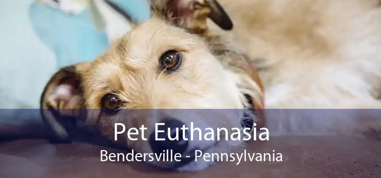 Pet Euthanasia Bendersville - Pennsylvania