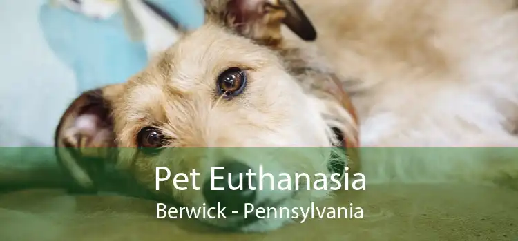 Pet Euthanasia Berwick - Pennsylvania