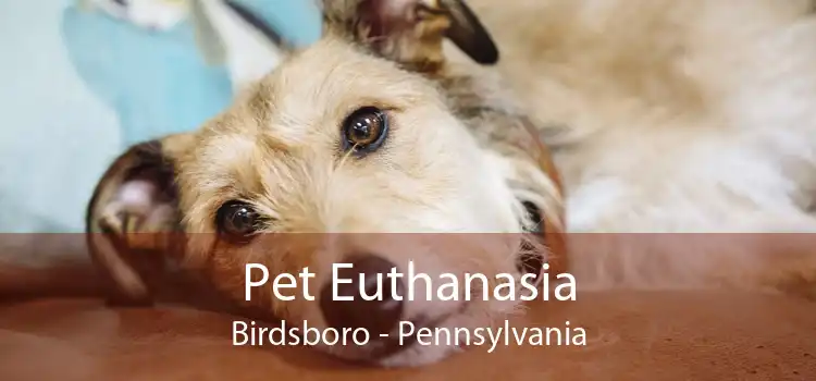 Pet Euthanasia Birdsboro - Pennsylvania