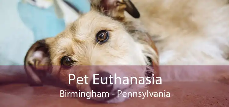 Pet Euthanasia Birmingham - Pennsylvania