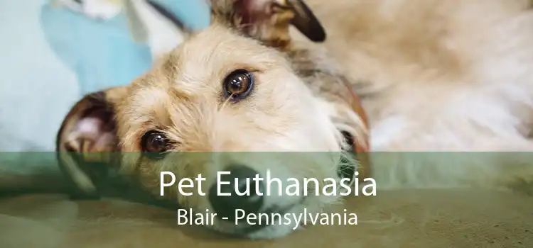 Pet Euthanasia Blair - Pennsylvania