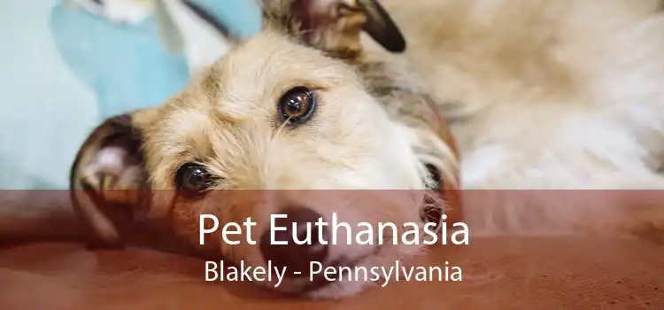 Pet Euthanasia Blakely - Pennsylvania