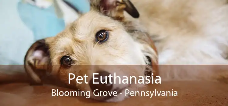 Pet Euthanasia Blooming Grove - Pennsylvania