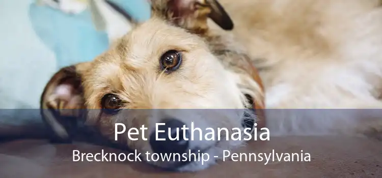 Pet Euthanasia Brecknock township - Pennsylvania
