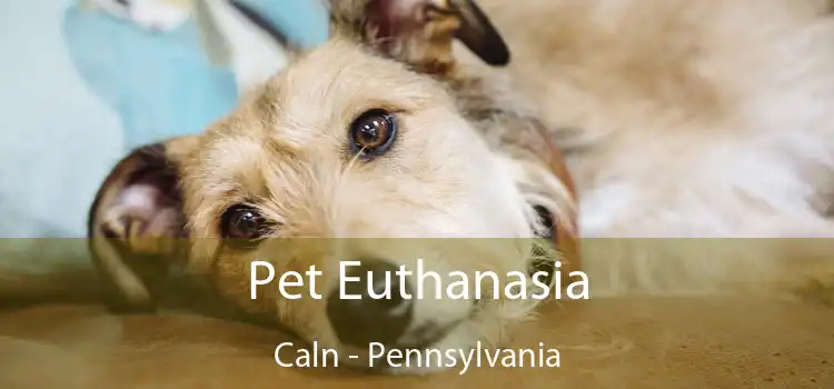Pet Euthanasia Caln - Pennsylvania