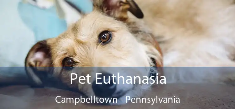 Pet Euthanasia Campbelltown - Pennsylvania