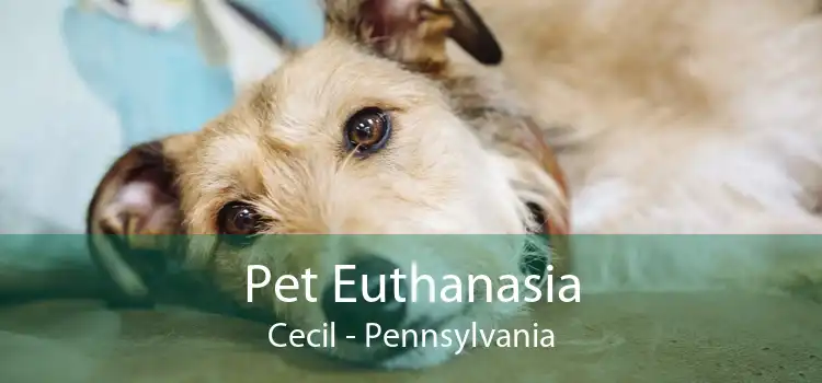 Pet Euthanasia Cecil - Pennsylvania