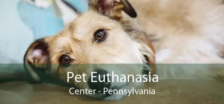 Pet Euthanasia Center - Pennsylvania