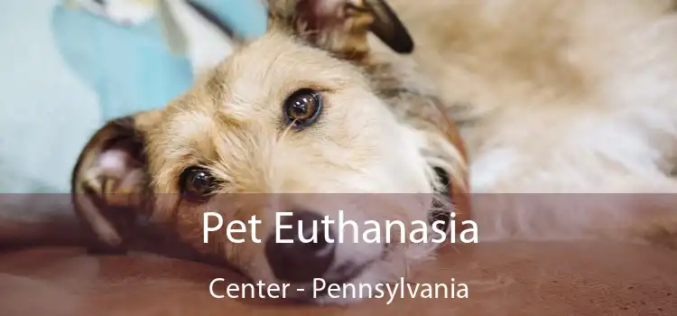 Pet Euthanasia Center - Pennsylvania