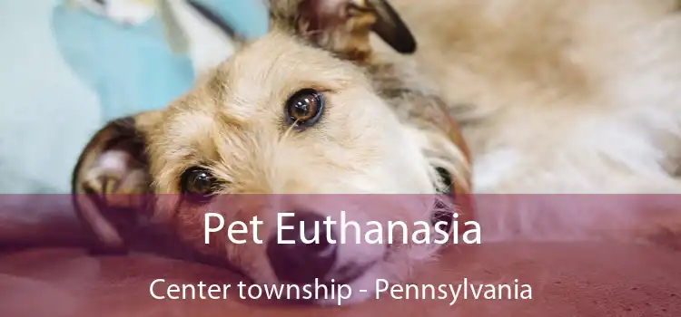 Pet Euthanasia Center township - Pennsylvania