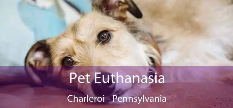 Pet Euthanasia Charleroi - Pennsylvania