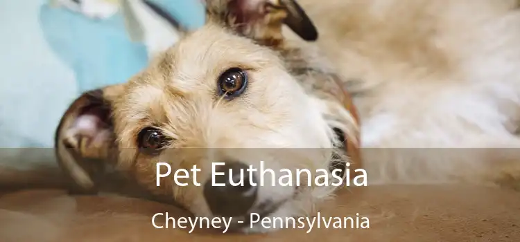 Pet Euthanasia Cheyney - Pennsylvania