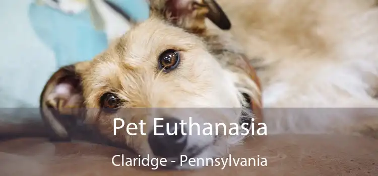 Pet Euthanasia Claridge - Pennsylvania