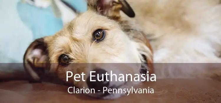 Pet Euthanasia Clarion - Pennsylvania