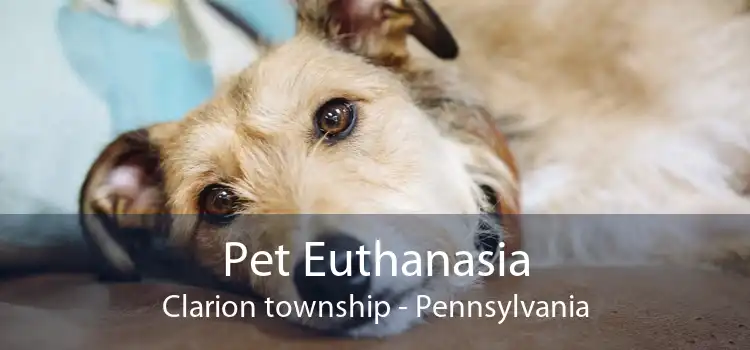 Pet Euthanasia Clarion township - Pennsylvania